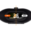 Nightfox Swift Night Vision Goggles | DAY AND NIGHT COMPARISON