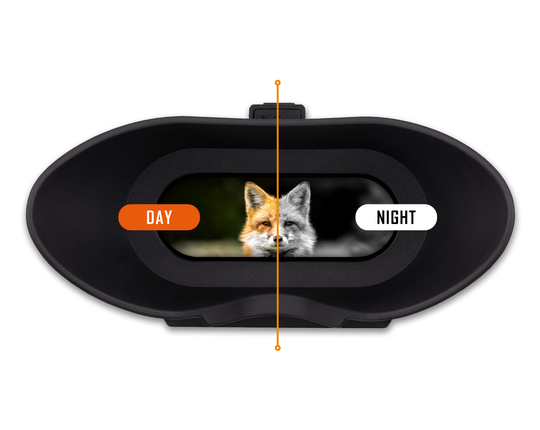 Nightfox Swift Night Vision Goggles | DAY AND NIGHT COMPARISON