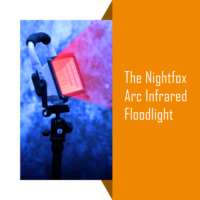 What you need to know about the Nightfox Arc IR floodlight