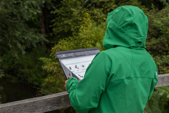 Ecologists love waterproof clipboards, this one is being used in the rainy english countryside.